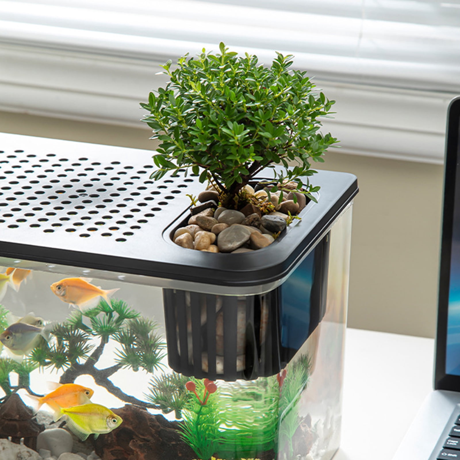 Modern Leakproof Aquarium with Child-Safe Lid & Plant Holder, Home Office Desktop Fish Habitat for