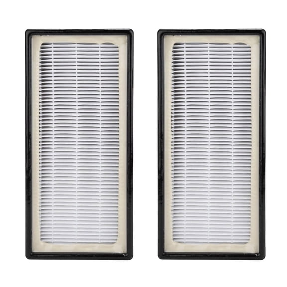 2 Pack HEPA Filter Compatible for Holmes AER1 HAPF300/HAPF30 (D Filter) for Holmes AER1 Ready Air Purifier