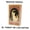 Spanish, variant on El Tarot De Los Gatos Cards 78 cartas del tarot Spanish Edition Cats Rule Earth Divination Deck Borad Playing Games