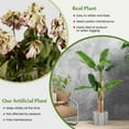 thumbnail image 7 of Amijoy 5.5 FT Tall Artificial Banana Tree w/ 10 Large Leaves Double Stalks Natural Bark, 7 of 7