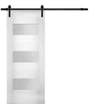 Modern Barn Door 24 x 84 inches Opaque Glass / Sete 6003 White Silk / 6.6FT Rail Track Heavy Hardware Set / Solid Panel Interior Doors