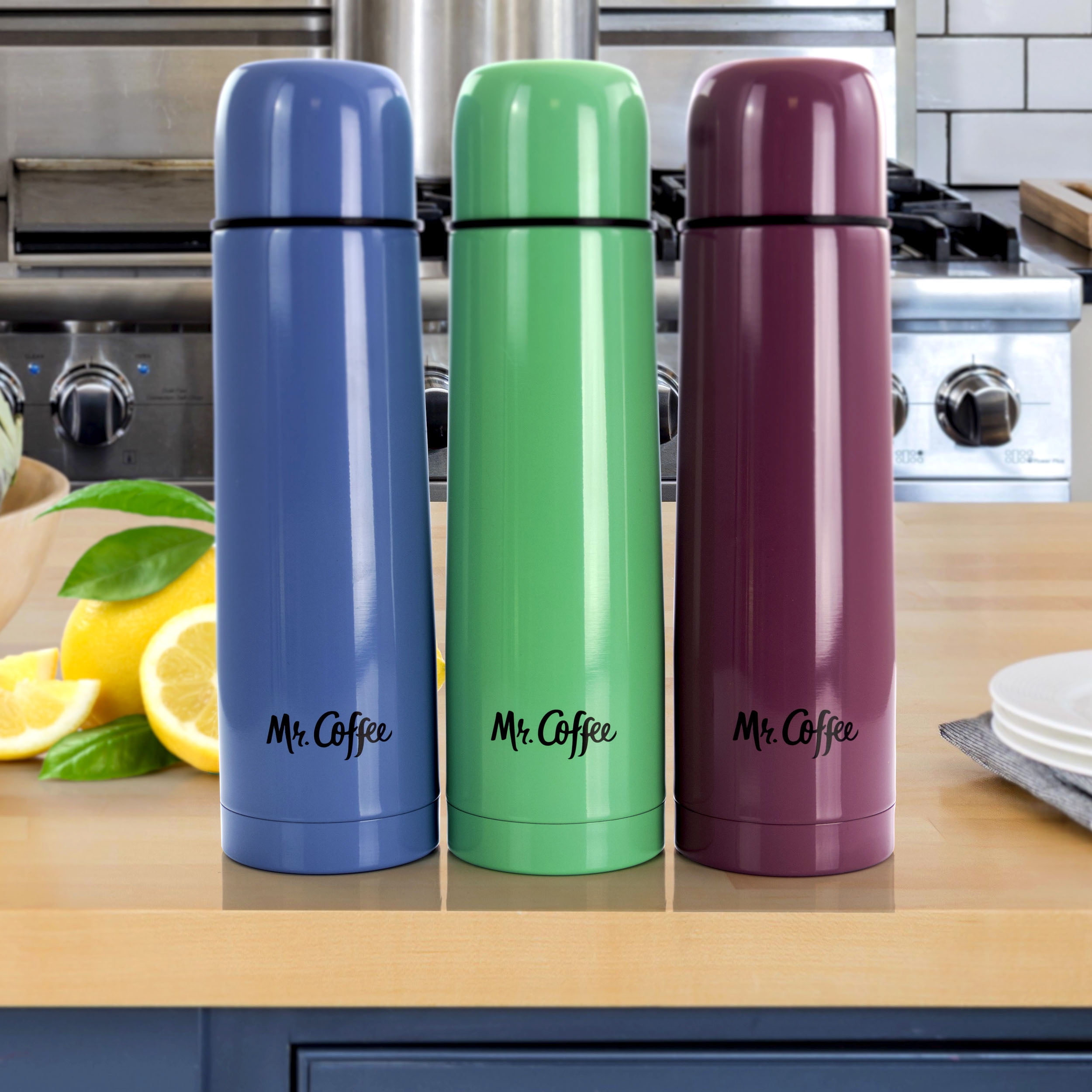 Mr. Coffee Luster Javelin 16 Ounce Stainless Steel Thermal Travel Bottle in Assorted Colors Set of 4