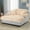Champagne, variant on 65.25" Modern Chaise Lounge Sofa with Ergonomic Backrest and Curved Armrest, Cloud Chaise Sofa with Throw Pillows, Cozy Plush Sofa Couch for Living Room Bedroom, Beige