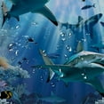 thumbnail image 5 of Shiartex Sea Shark Shower Curtain Tropical Ocean Theme Shark Hole Shower Curtains for Bathroom Decor Polyester Fabric Waterproof Blue Underwater World Shower Curtain 60x72, 5 of 7