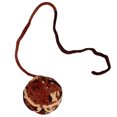 thumbnail image 4 of Cat Ball Toy Colorful: 5PCS Woolen Yarn Ball Kitten Chew Toy with Bell & String, 4 of 6