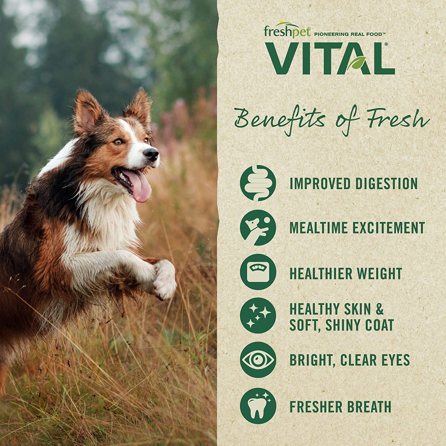 Freshpet® Vital™ Fresh Cuts All Life Stage Dog Food - Chicken