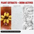thumbnail image 4 of Almohadillas de tóner Thayers Pore Refining con hamamelis, 60 unidades, 4 of 9