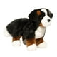 thumbnail image 1 of Peluche de perro Douglas Stevie Bernese, 1 of 1