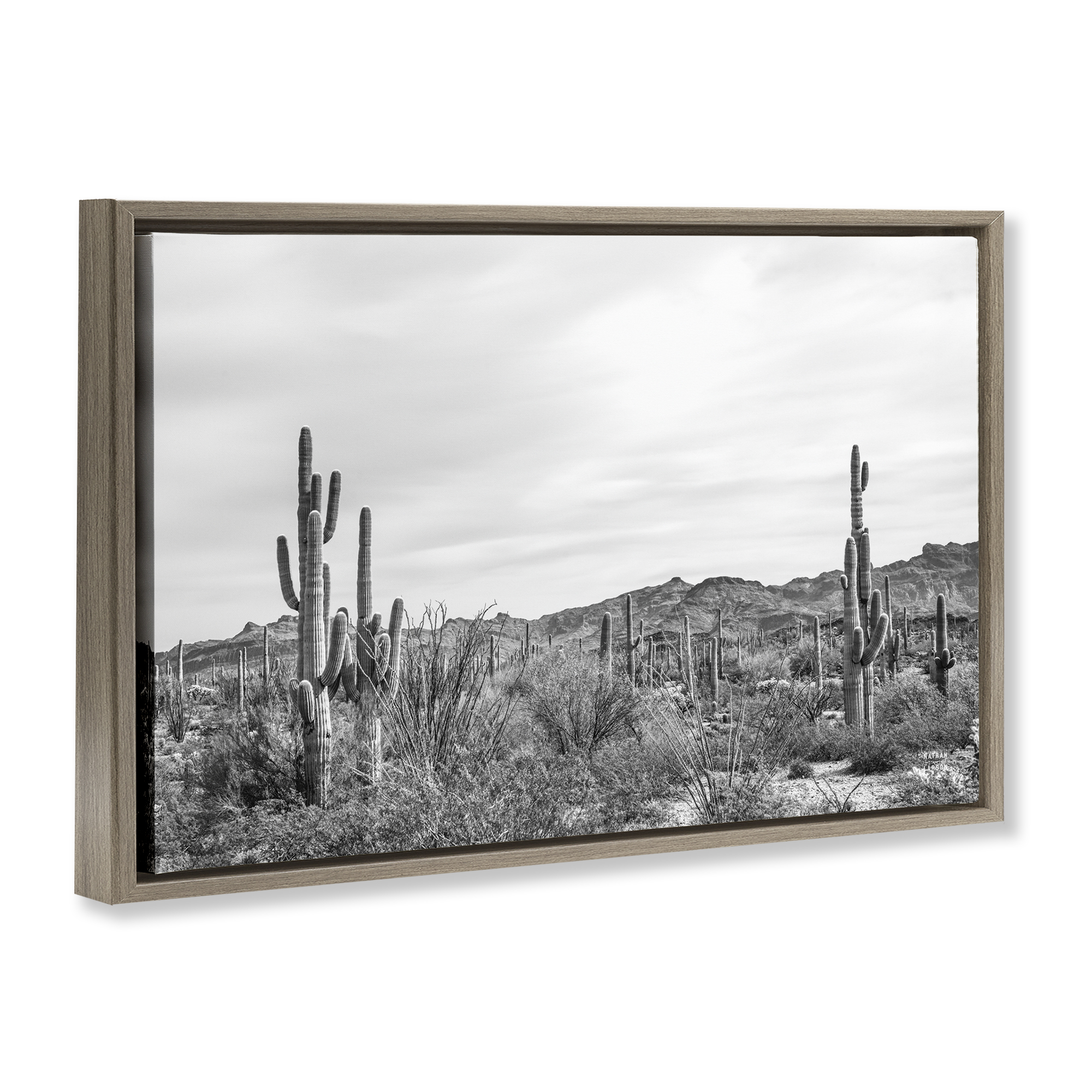 Stupell Industries Sonoran Desert Wonderland Landscape & Nature Photography Brown Floater Framed Canvas Art Print Wall Art, 31 x 21