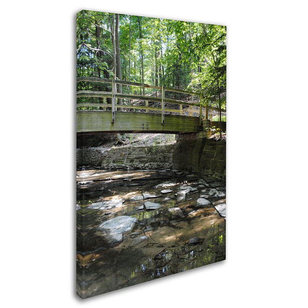 Trademark Fine Art "Amicable Escape" Canvas Art by Monica Fleet