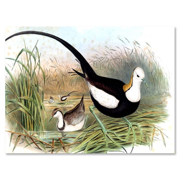 Designart ' Vintage Countryside Birds In Lake ' Farmhouse Canvas Wall Art Print