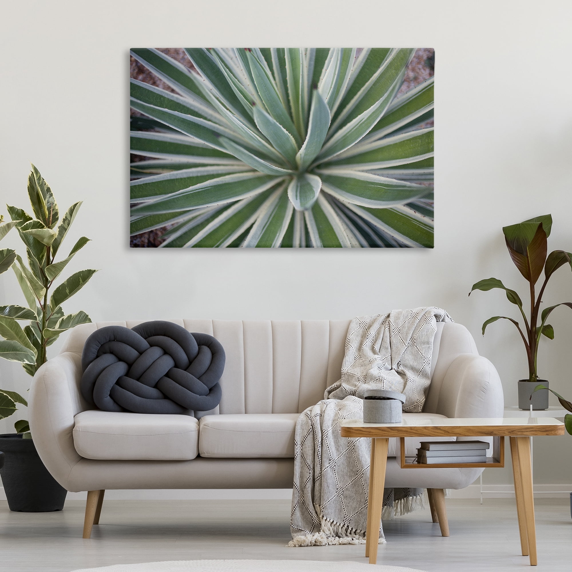 Stupell Industries Centric Succulent Leaves Botanical & Floral Photography Gallery Wrapped Canvas Art Print Wall Art, 45 x 30