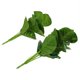 thumbnail image 2 of GOOHOCHY 2pcs simulación planta verde hojas de hojas adornos de hojas artificiales Adornos, 2 of 5