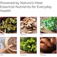 thumbnail image 5 of Livingood Daily Methylated Multivitamin for Women and Men, 60 Capsules – 25-in-1 Multi Vitamins Supplement for Energy and Immune Support, 5 of 6