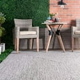 thumbnail image 3 of nuLOOM Wynn Braided Indoor/Outdoor Area Rug, Light Grey/Salt and Pepper, 4' x 6', 3 of 5