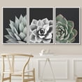thumbnail image 2 of IDEA4WALL Framed Canvas Print Wall Art Set of 3 Desert Rose Echeveria Succulent Set Nature Plants Photography Modern Art Closeup Relax/Calm for Entryway, Bedroom, Office - 24"x36"x3 White, 2 of 5