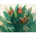 thumbnail image 2 of Nan 18x15 White Modern Wood Framed Museum Art Print Titled - Birds of Paradise, 2 of 4