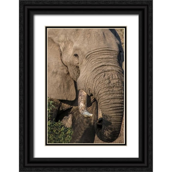 Murdock, Ramona 11x14 Black Ornate Wood Framed with Double Matting Museum Art Print Titled - The Big Boss