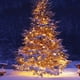 thumbnail image 5 of Guirnalda de luces navideñas FUNPENY, 64 m, 200 LED, 8 modos, blanco cálido, 5 of 7