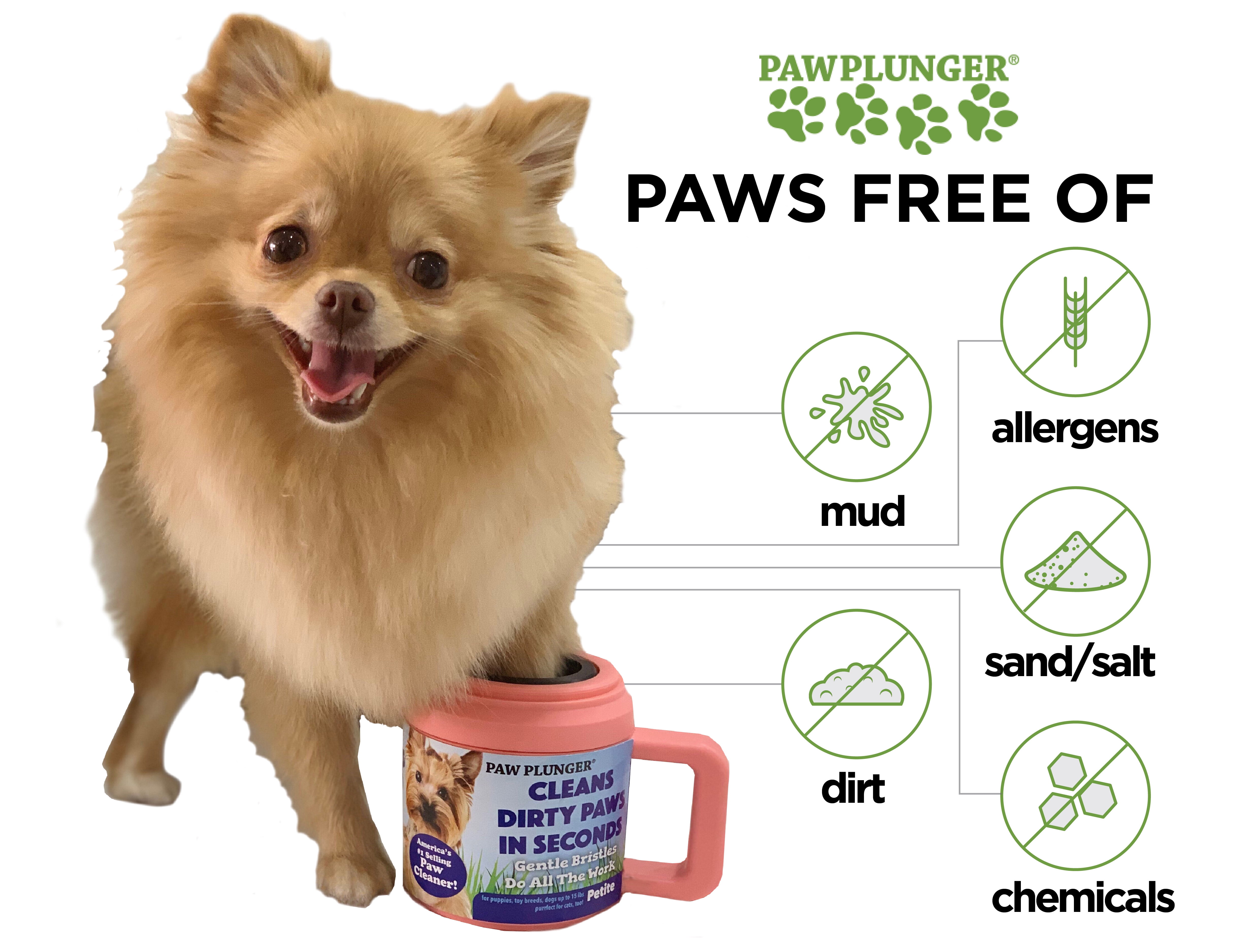 Tips for Preventing and Cleaning Muddy Dog Paws