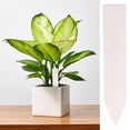 thumbnail image 2 of Single-Character Garden Marker, 1.97 x 0.39 inch Waterproof Plastic Label Stake for Herb Pots, Cactus Containers, Trays, Greenhouse Displays and Outdoor Organization, White, 2 of 7