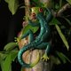 thumbnail image 2 of Estatua de Gecko de Metal, decoración de pared, arte de lagarto, estatuilla de Animal de hierro, 1 ud., 2 of 5