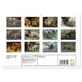 thumbnail image 2 of Pig stuff - the wild boars are on the loose (Monthly Wall Calendar 2026 11.7 x 16.5 (open)), CALVENDO 14 Month Calendar, 2 of 9