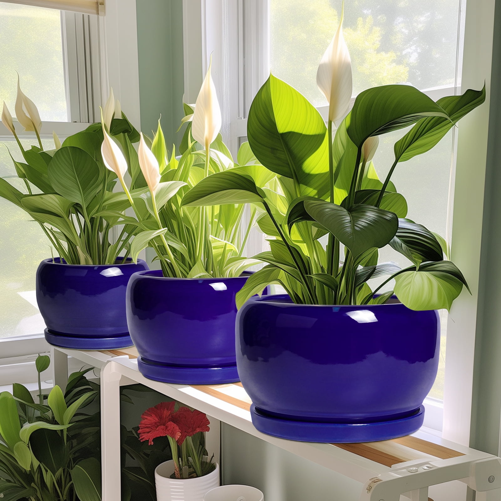 Ordivic 6 inch Cobalt Blue Ceramic Plant Pot with Saucer & Drainage Hole, Small Indoor Flower Planter for Succulents & Herbs, Home Decor