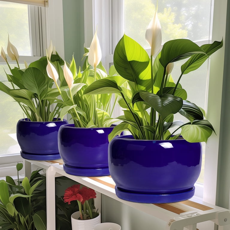 Ordivic 6-Inch Cobalt Blue Ceramic Plant Pot with Saucer photo 6