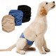 thumbnail image 2 of Pantalones antiacoso para perros, ropa interior impermeable y lavable, suministros para mascotas, cinturón de sujeción para perros, 2 of 4