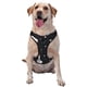 thumbnail image 1 of Fotbe Fashionable Goose Arnés para Perro con Estampado –Chaleco Ajustable Acolchado con Asa de Control para Perros Grandes-Medium, 1 of 6