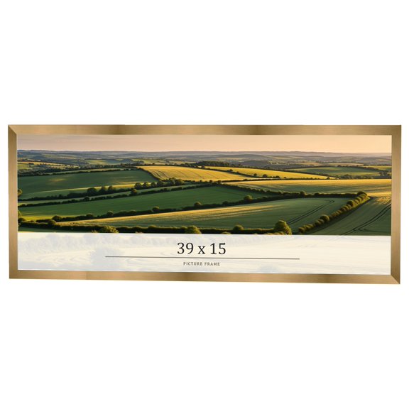 39x15 Frame Gold Bronze Solid Wood Picture Frame Width 0.75 Inches | Interior Frame Depth 0.5