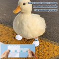 thumbnail image 3 of Disposable Duck Feet Covers with Blue Bandage for Pet Ducks - Large Size, 3 of 6