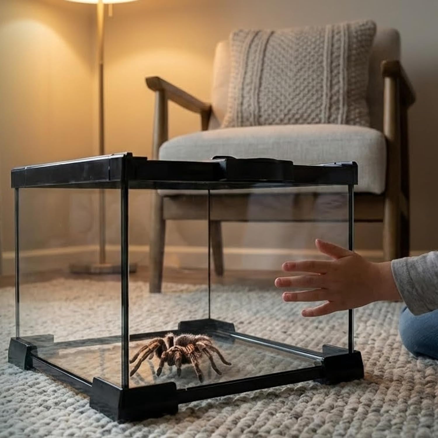 VNEKVA Small Glass Terrarium with Lockable Top, Reptile Tank for Geckos, Lizards, Snakes, Turtles & Amphibians
