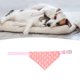 thumbnail image 5 of Pañuelo triangular para mascotas con diseño de estampado, bufanda ajustable con cuello triangular para perro con correa de cuero de PU para perro gato rosa S, 5 of 5
