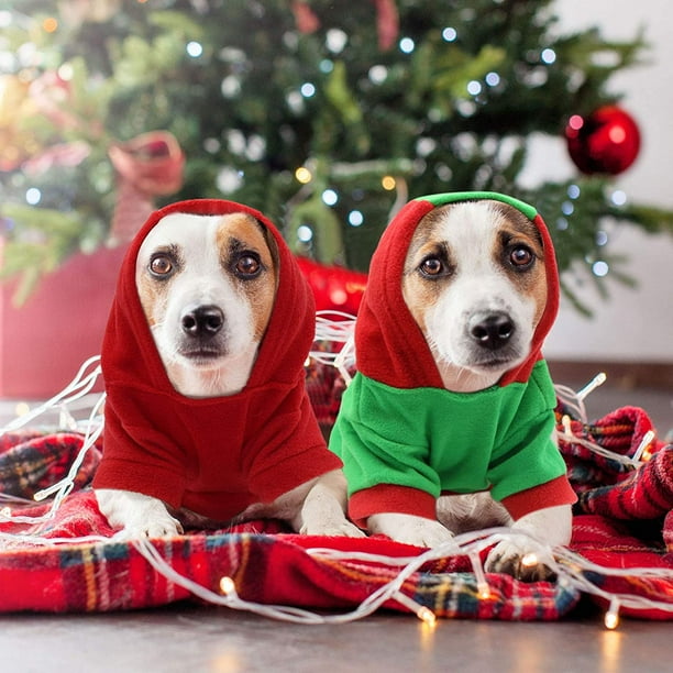 Puppy xmas outfits hotsell