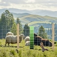 thumbnail image 5 of Farm Fence 5ft x 164ft Heavy Zinc Coating  Livestock Fence Field Wire Fencing for Deer,Cattle,Goat,Hog,Sheep Animals and Field Protection, 5 of 8