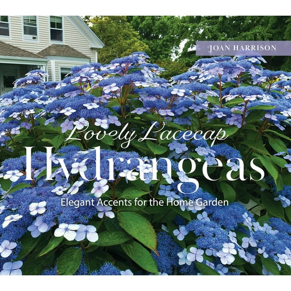 Lovely Lacecap Hydrangeas: Elegant Accents for the Home Garden, (Hardcover)