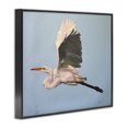 thumbnail image 3 of Stupell Industries Coastal Graceful Egret Flying Black Framed Giclee Art, 20 x 16, by D. Rust, 3 of 8