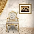 thumbnail image 3 of Pryor, Maresa 14x11 Gold Ornate Wood Framed with Double Matting Museum Art Print Titled - Sandhill crane silhouetted-Bosque del Apache National Wildlife Refuge-New Mexico, 3 of 4