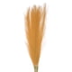 thumbnail image 1 of Uxcell 8Pcs Hierba de Pampas Falsa de 21" para Decoración de Bodas Amarilla, 1 of 7