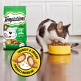 Temptations Seafood Medley Flavor Adult Dry Cat Food, 3.15 Lb. Holiday