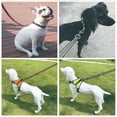 thumbnail image 3 of Correas reflectantes para perros, correa de estilo tradicional con gancho para cuello fácil de usar, 3 of 5