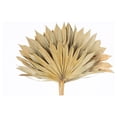 thumbnail image 2 of HeSLehs Decorative Dried Palm Spears l Dried Palm Leaves l Natural Palm Fan l Dried Flowers Arrangement for Home Decor (16-19in Tall, 4-5 Branches per Bunch) (Natural 10'' Wide), 2 of 5