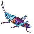 thumbnail image 4 of MasteelfCA Insect Wall Decoration Iron Art Craft Bug Decoration Insect Art for Garden Backyard, 4 of 8