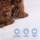 thumbnail image 2 of Almohadillas de superficie de secado rápido, multicapa y a prueba de fugas para cachorros Paquete de 500 tapetes de entrenamiento para perros y cachorros, 2 of 5
