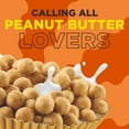 thumbnail image 2 of REESE's PUFFS Peanut Butter Lovers Cereal, Made with Whole Grain, Family Size, 19.7 oz (Pack 2), 2 of 5