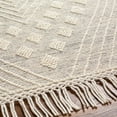 thumbnail image 6 of BoutiqueRugs DAMA Traditional, Transitional Area Rug - Ivory, Black - 27" x 45", 6 of 8