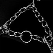 Prong Collar For Dogs Herm Sprengers Dog Pinch Collars For Large Dog Prong Dog Training Collar For Dogs With Rubber Tip
