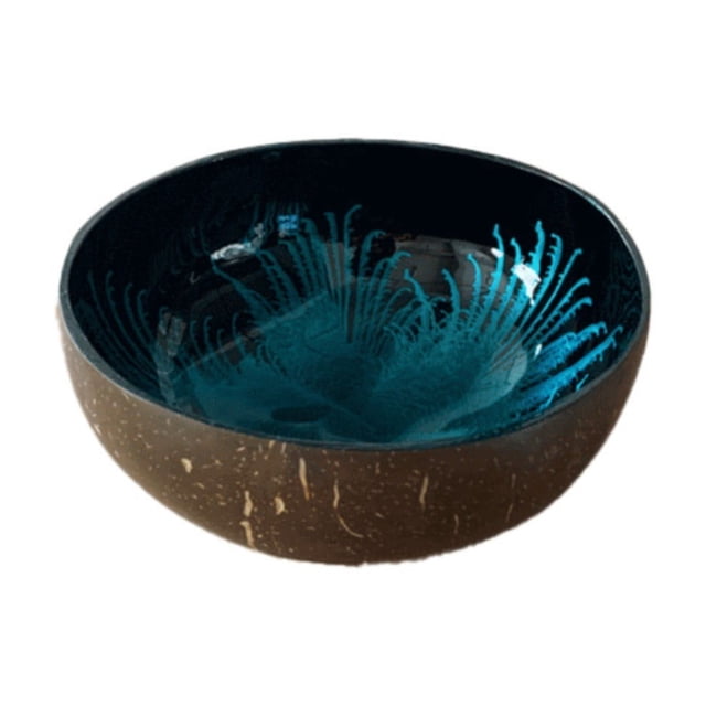 Bols en Noix de Coco Bol Décoratif pour Clés pour Entrée Table Bol à Bonbons Bols Décoratifs pour Déco Maison Bol de Rangement en Noix de Coco pour Bonbons Clés